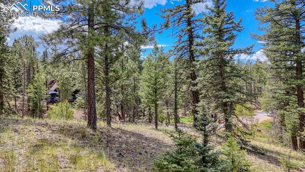 Property Photo: 18 Falcon Circle CO 80816