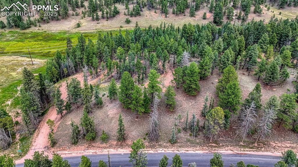 Property Photo:  18 Falcon Circle  CO 80816 
