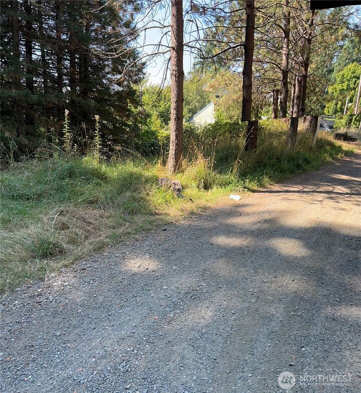 Property Photo: 0 Hazel 001 Street WA 98584