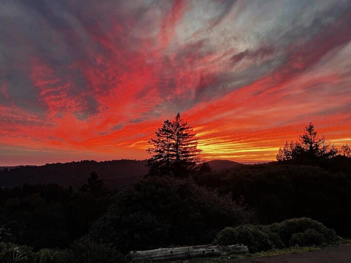 Property Photo: 1584 Tindall Ranch Road CA 95076