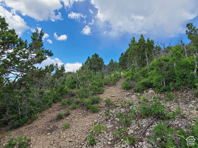 Property Photo: 9 N Pine Nut Way E 9 UT 84629