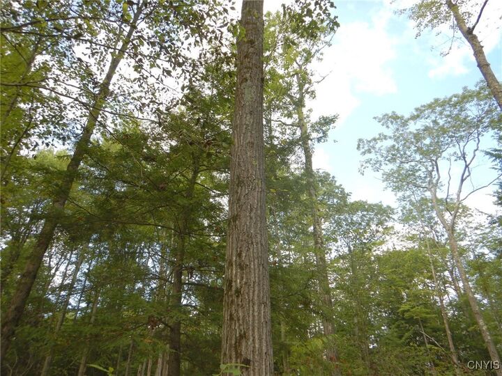 Property Photo:  Perry Road  NY 13835 