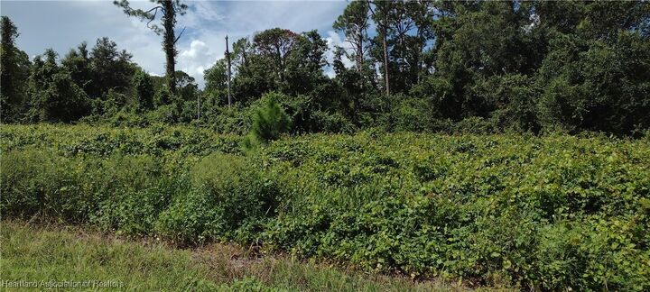 Property Photo: 1038 Redbird Street FL 33852