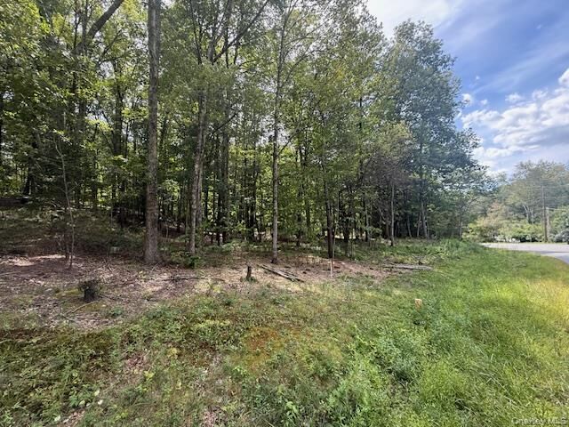 Property Photo: Lot 1 Shoddy Hollow Road NY 10963