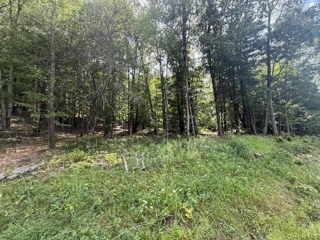 Property Photo: Lot 2 Shoddy Hollow Road NY 10963