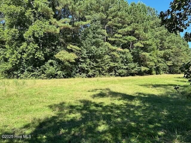 Property Photo:  0 SR 1313 Off  NC 27889 