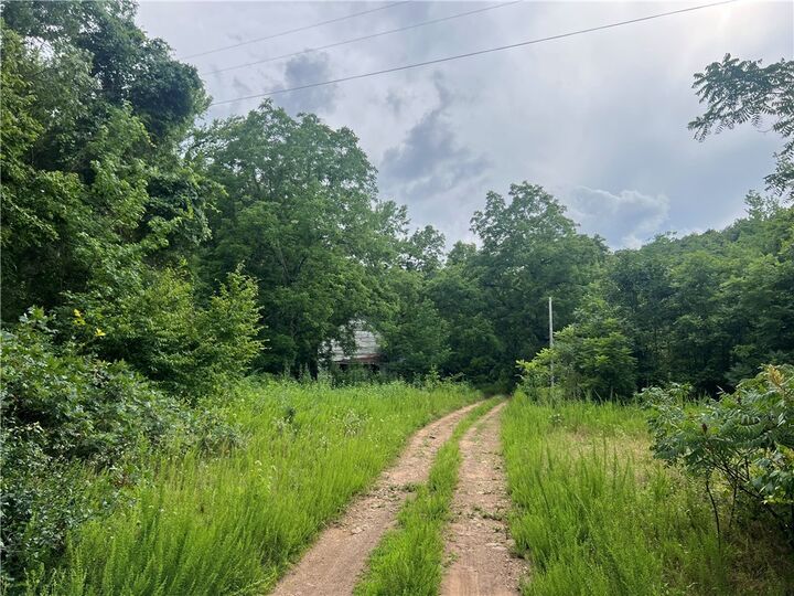 139 Madison 6388  Wesley AR 72773 photo