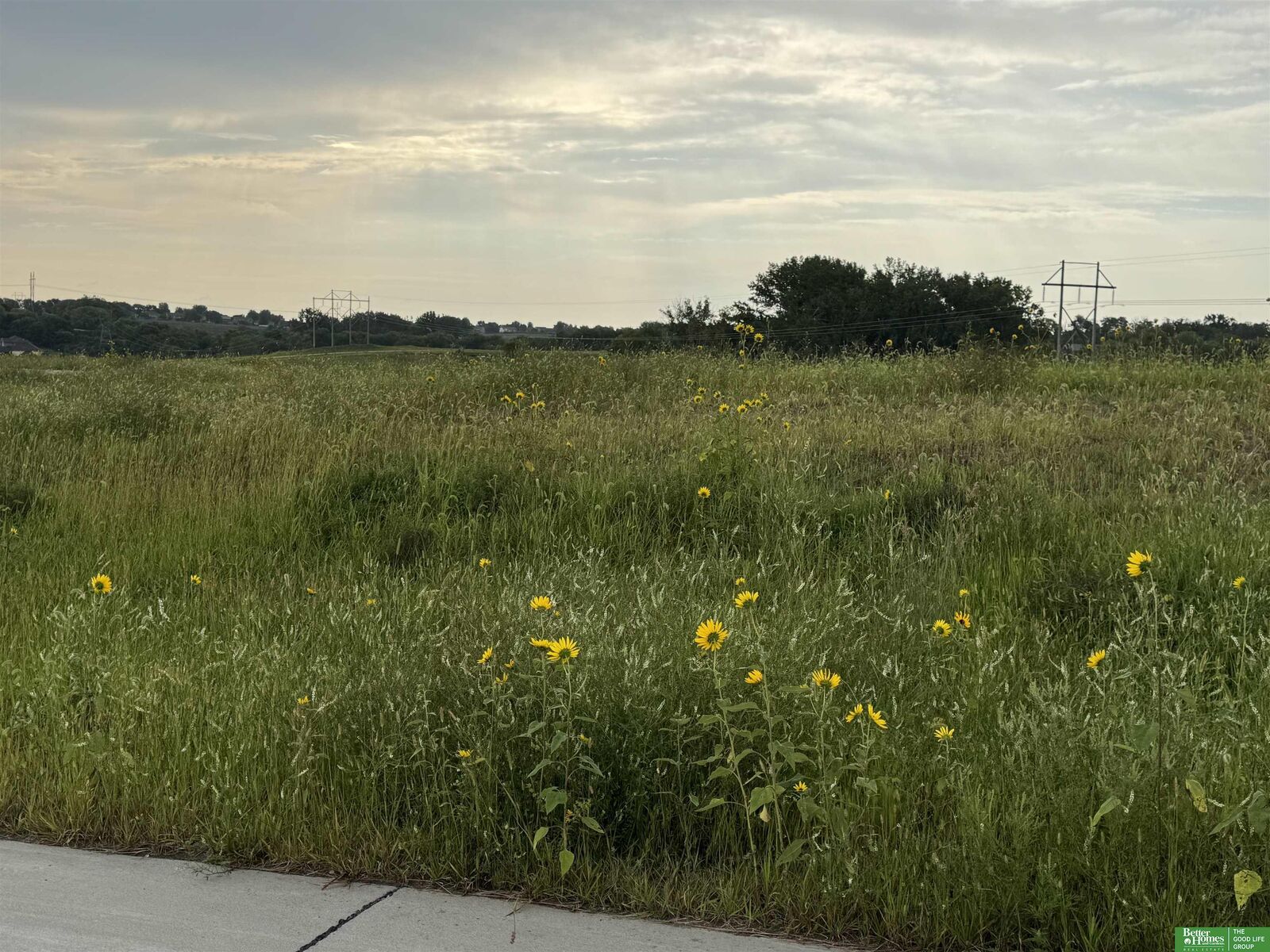 Property Photo:  Tbd Lot 48 Street  NE 68028 