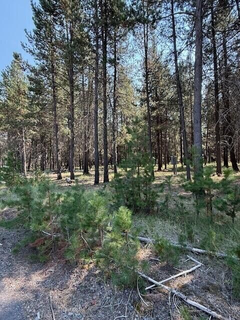 Property Photo: 16951 Fontana Road OR 97707