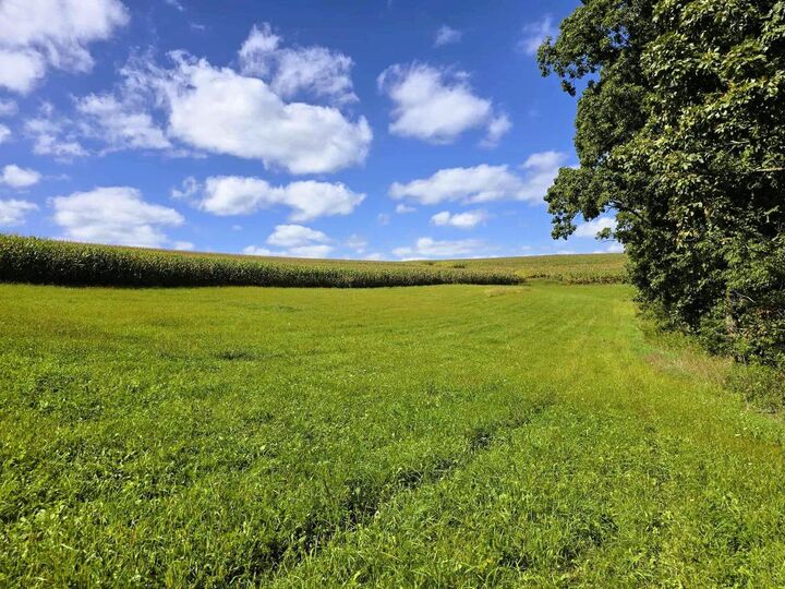 Property Photo:  17 Acres +/- Sherry Ridge Road  WI 54655