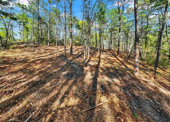 Property Photo:  Tbd Bob White Lane  TX 75931 