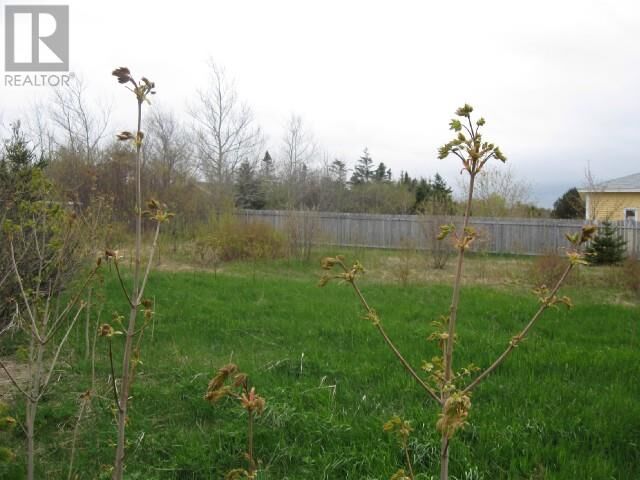 12-14 Forest Road  Conception Bay South NL A1X 3G9 photo