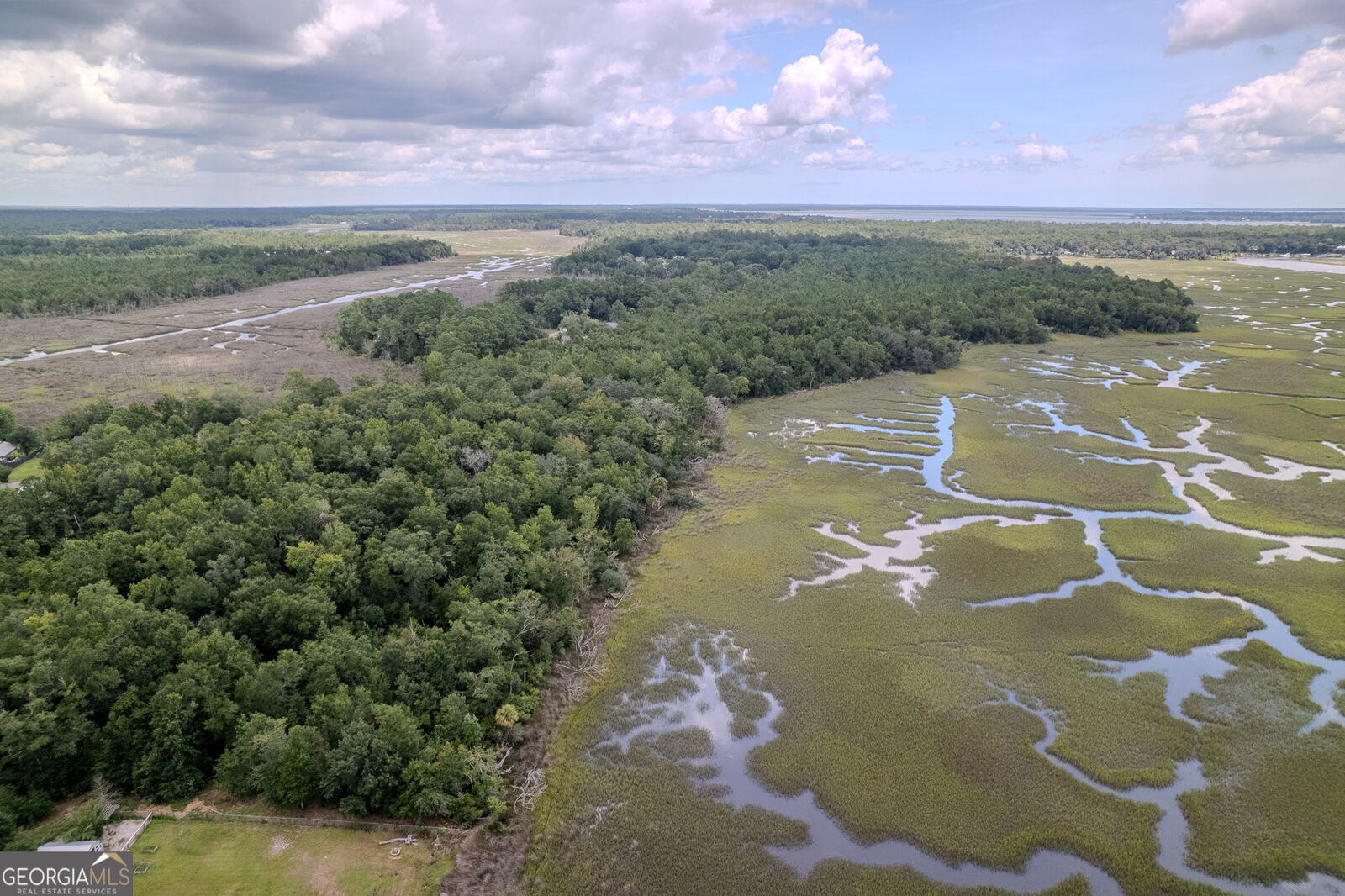 Property Photo:  0 Sheffield Island Road 5  GA 31569 
