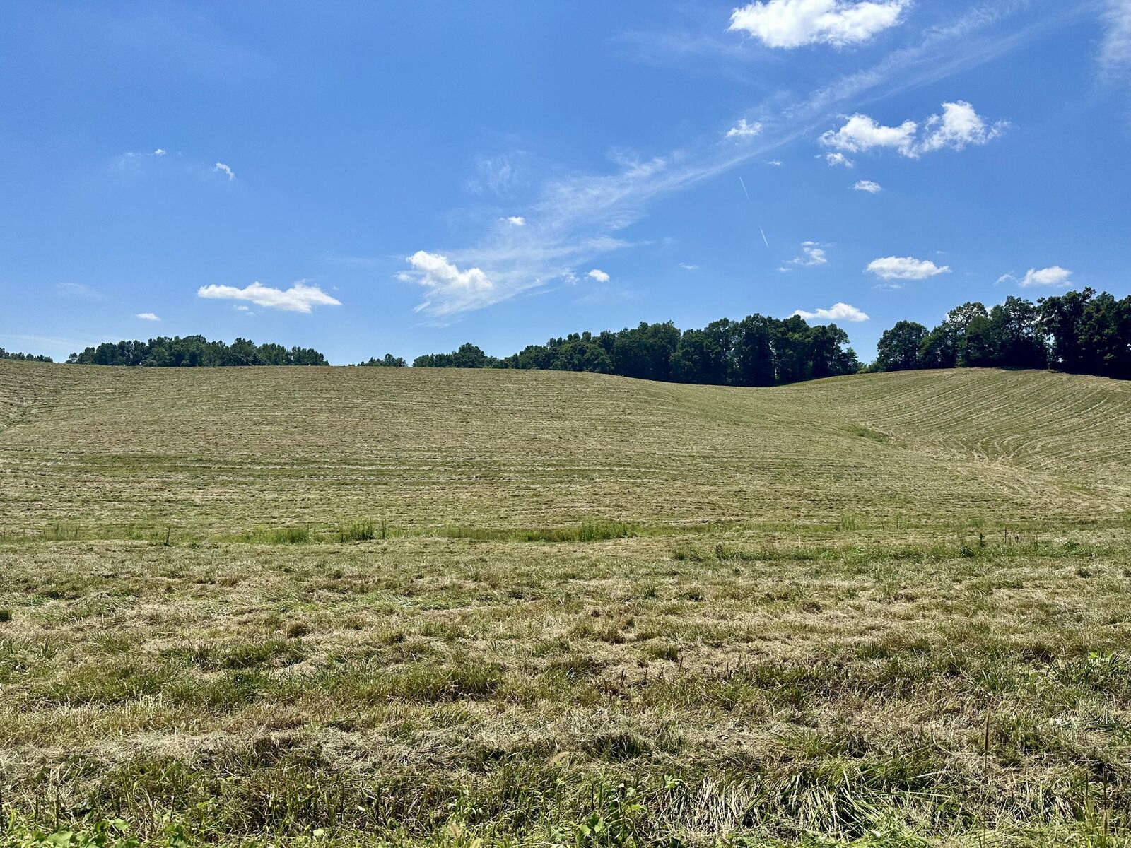 Property Photo:  133 Jaguar Way  KY 40741 
