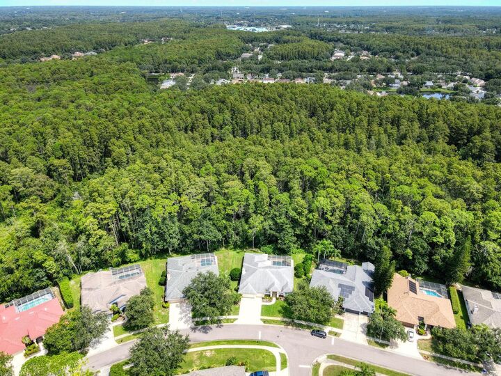 Property Photo:  4125 Kirkaldy Drive  FL 34685 