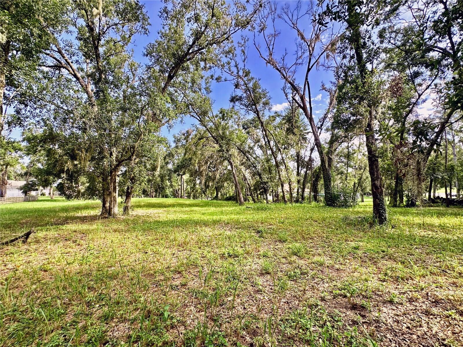 Property Photo: 35174 Roth Lane FL 33525