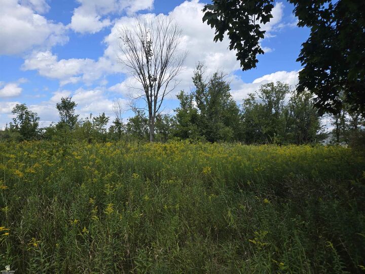 Property Photo:  14296 Tubspring Vl Road  MI 48022 