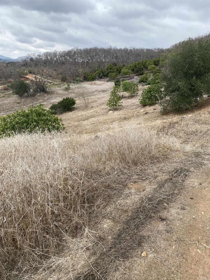 Property Photo:  Ridge Creek Road  CA 92082 