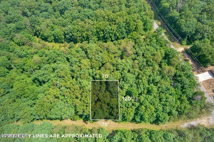 Property Photo:  106 Brunswick Place  TN 38558 