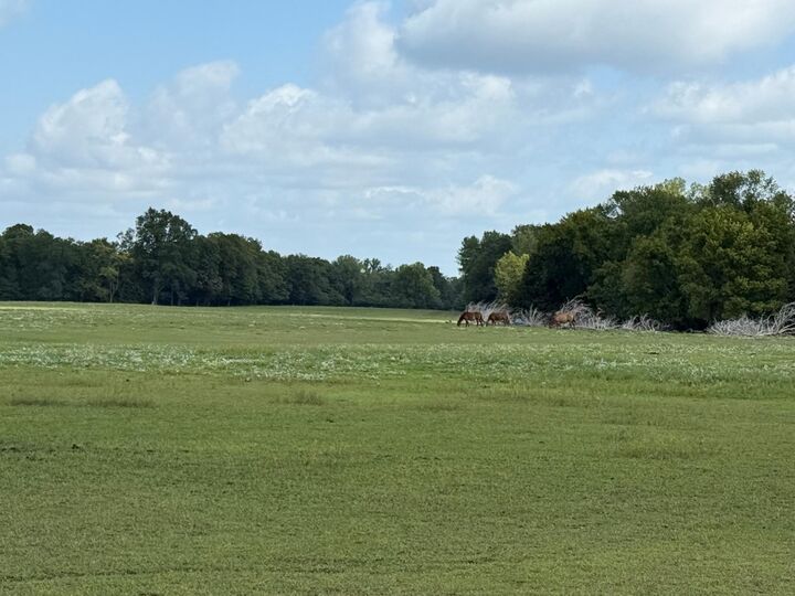 Property Photo: 38388 512th St MN 56003
