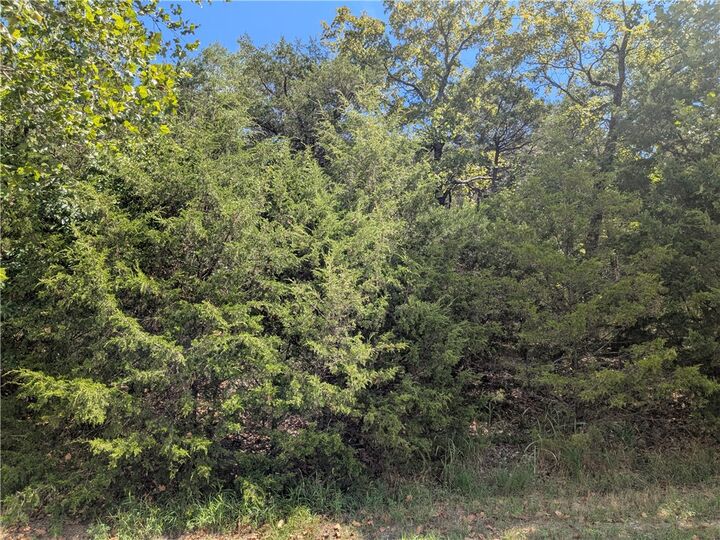 Property Photo: 114 Appaloosa Drive AR 72631