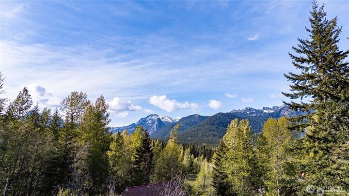 50 Lot  Rampart Drive  Snoqualmie Pass WA 98068 photo