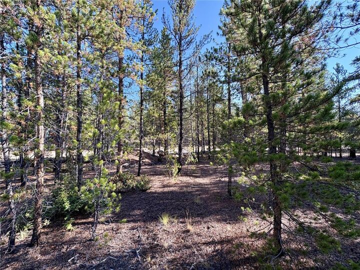 Property Photo: Tbd-Lot 479 Birch Drive CO 80461
