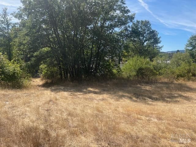 Property Photo: 1591 S Main Street CA 95490