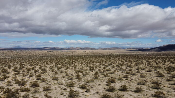 Hwy Ca-62  Joshua Tree CA 92252 photo