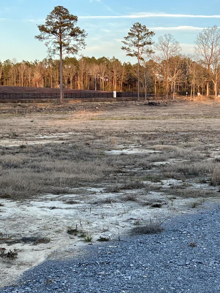 Property Photo:  Lot 6 1 Ac Patton Creek Rd.  MS 39367 