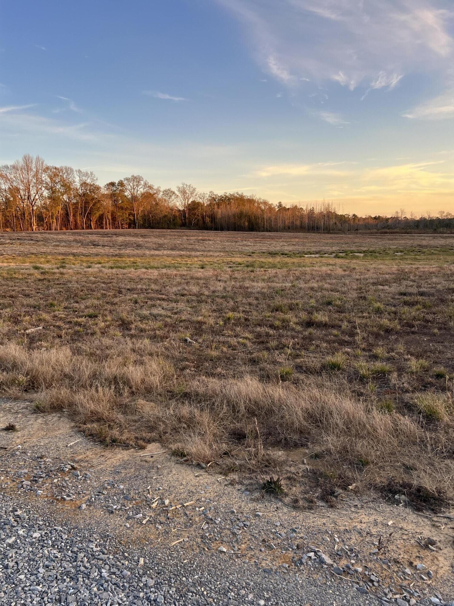 Property Photo:  Lot 5 1 Ac Patton Creek Rd.  MS 39367 