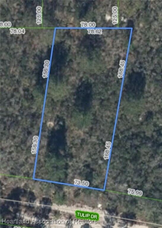 Property Photo: 286 Tulip Drive FL 33852