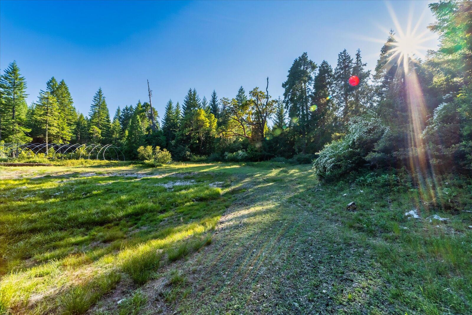 Property Photo: 0 Bluff Creek Trail Road CA 95556