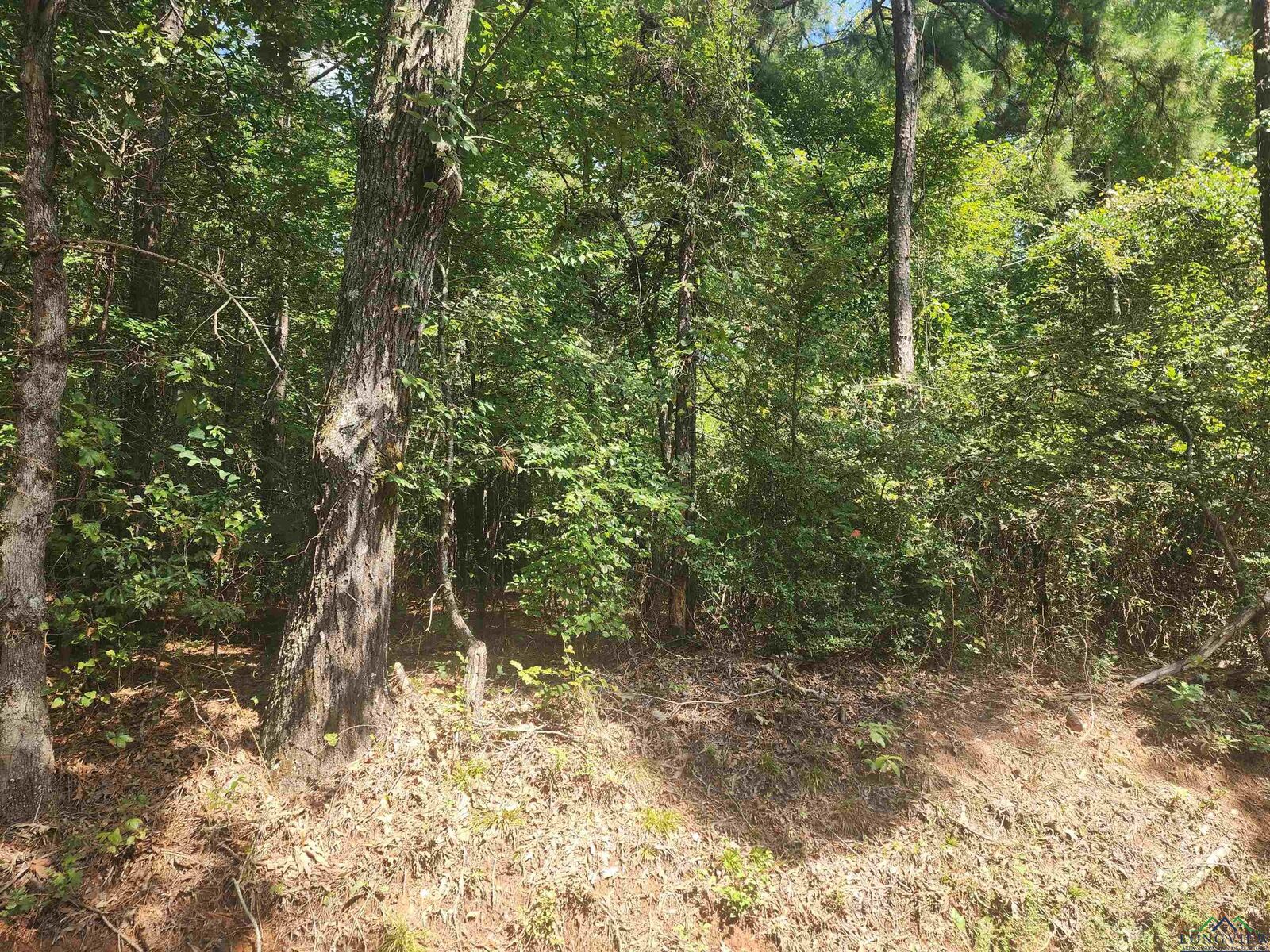 Property Photo:  Tbd Cr 294 E  TX 75662 