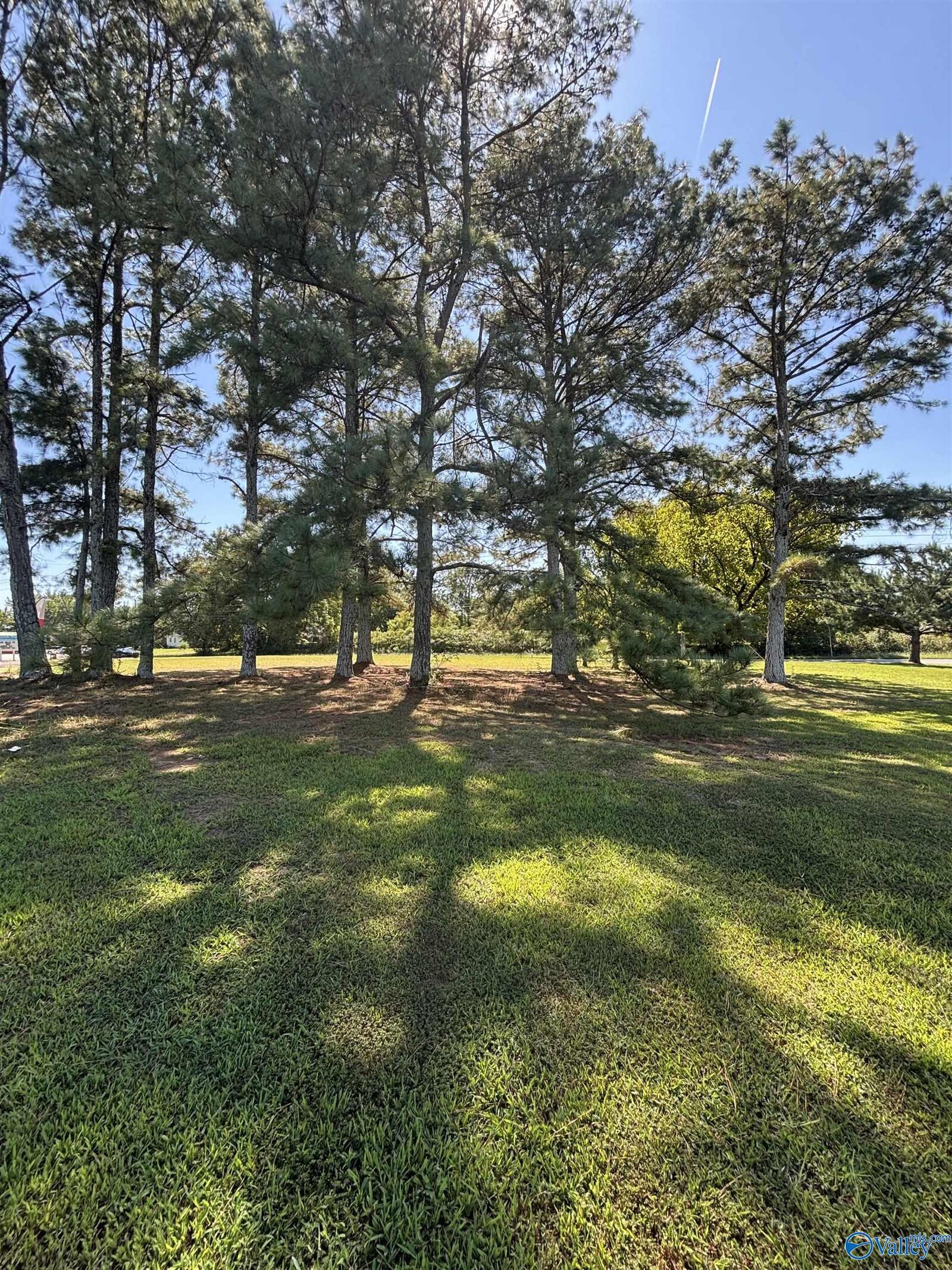 Property Photo: 8044 Highway 53 AL 35773