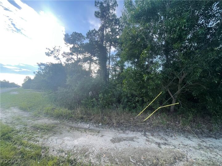 Property Photo:  1804 Dewitt Avenue N  FL 33971 