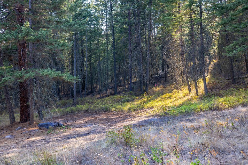 Property Photo: 40961 US Hwy 93 MT 59860