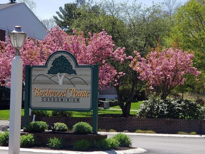 3 Birchwood Court 102  Amesbury MA 01913 photo