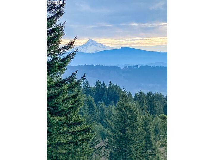 Property Photo: NE Hancock Rd 1 WA 98607
