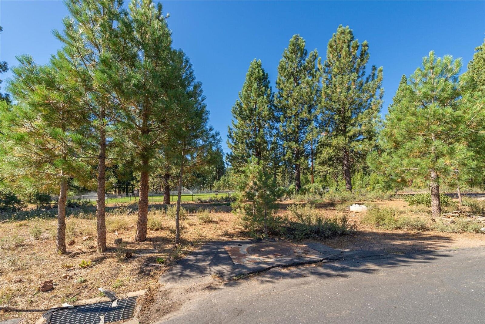 Property Photo: 11312 Wolverine Circle CA 96161