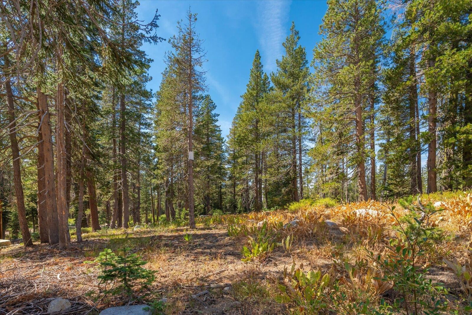 Property Photo: 8425 Hillside Drive CA 95728-0000