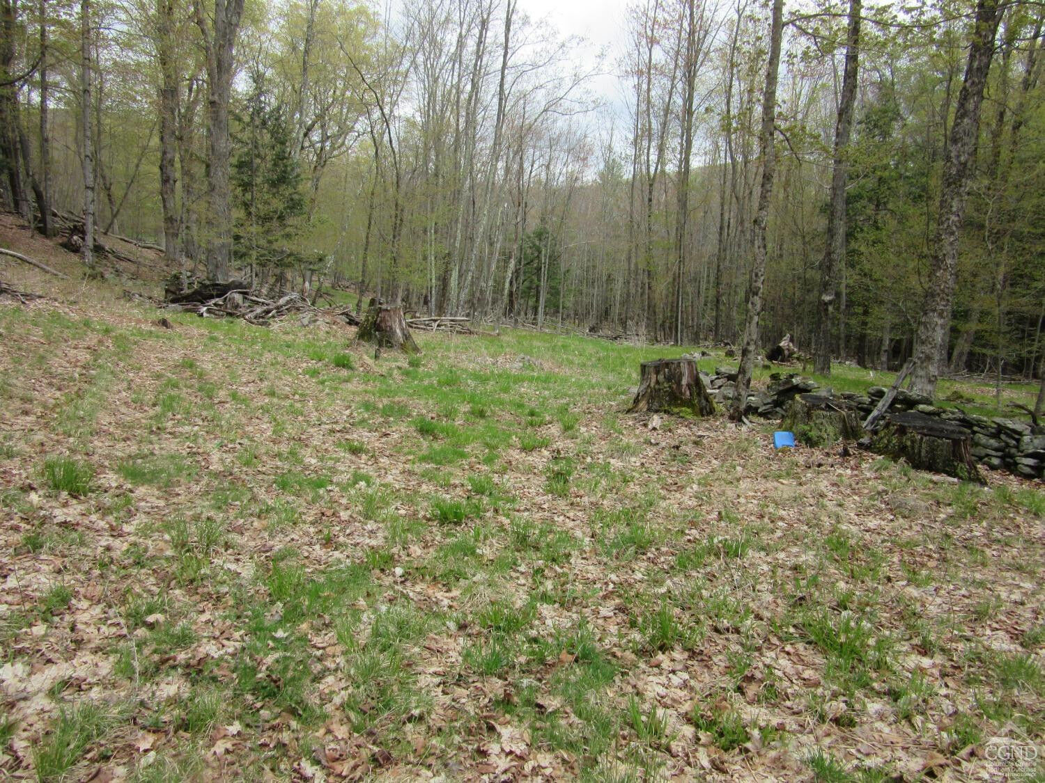 Property Photo:  0 Route 23C Lot #4  NY 12452 