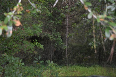 Property Photo:  80 Thompson Road  SC 29554 