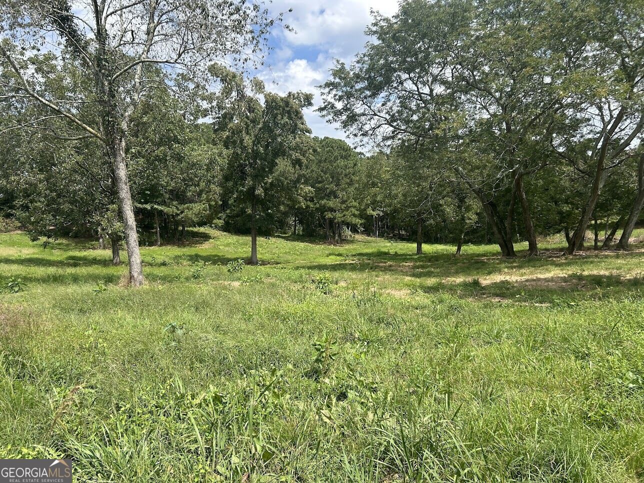 Property Photo:  0 Blackjack Mountain Rd (Tract 3--12.30 Acres)  GA 30108 