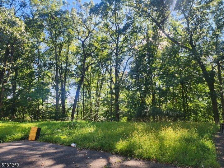 1175 Evergreen Dr  Bridgewater Twp. NJ 08807 photo