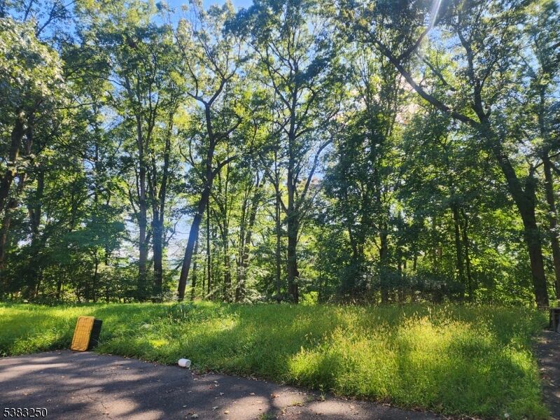 Property Photo:  1175 Evergreen Dr  NJ 08807 