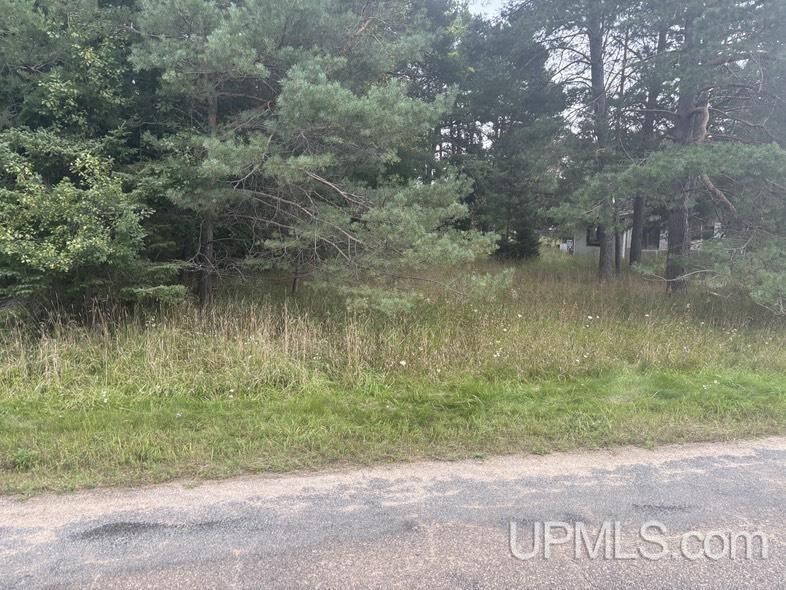 Property Photo: 10088 S .75 Road MI 49878