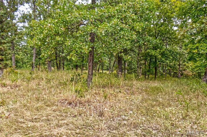 Property Photo: 26049 Ivy Bend Rd MO 65078