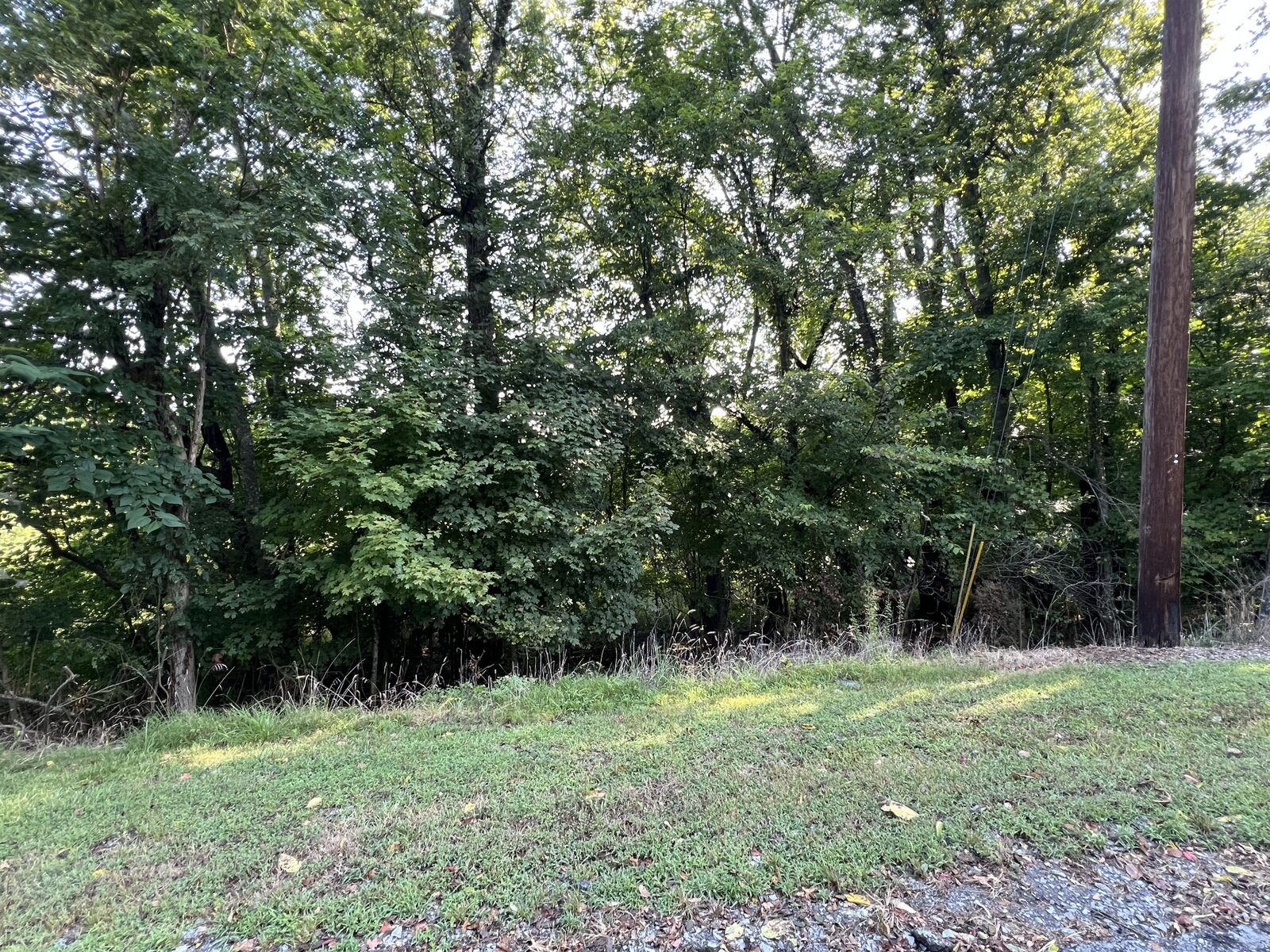 Property Photo: 8 Jarrell Ridge Rd TN 37043