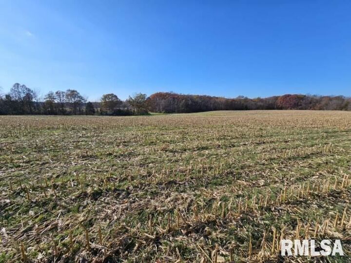 Property Photo: 0000 N Stanford Lane IL 62872